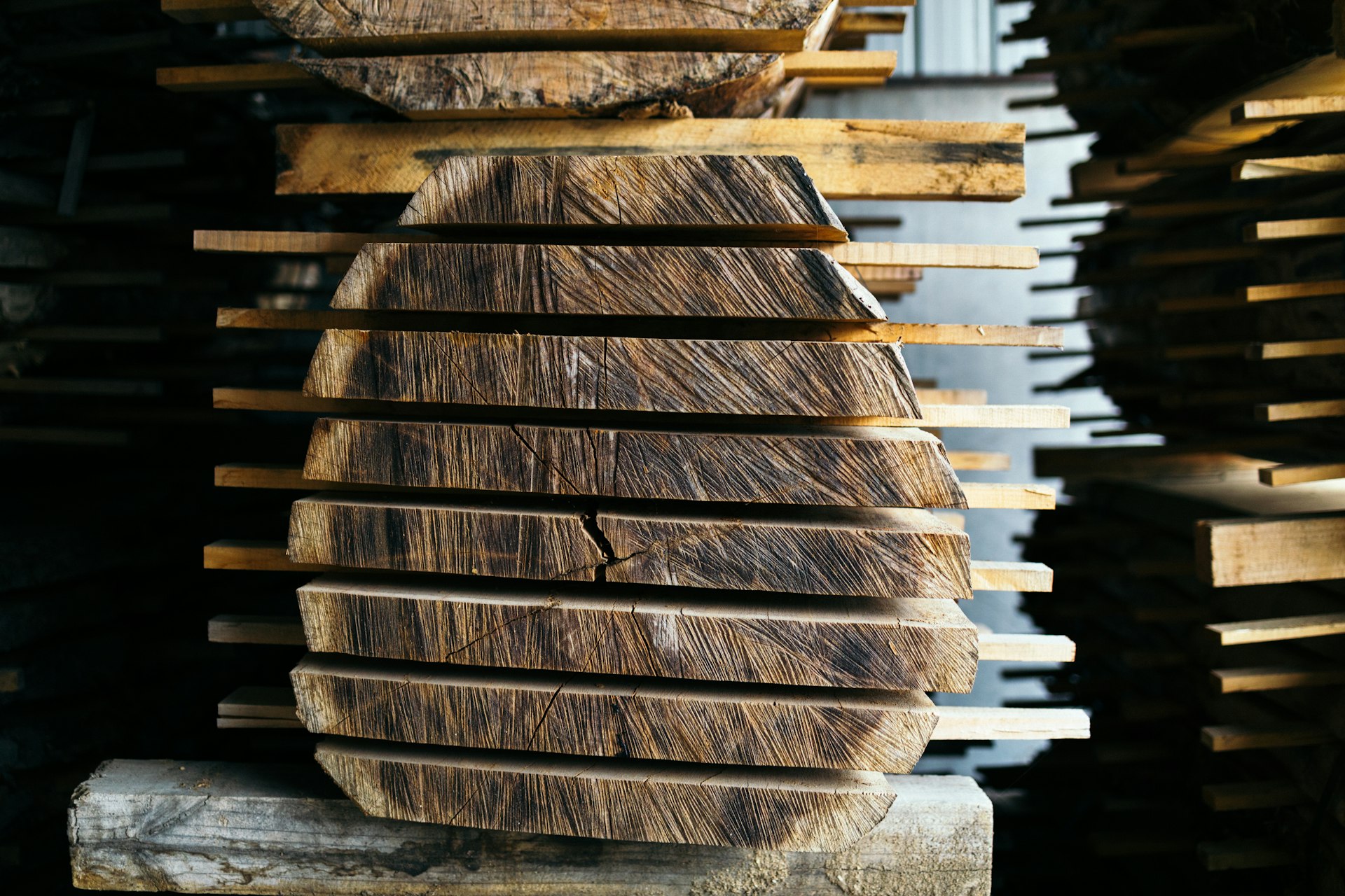 pile of wood slices